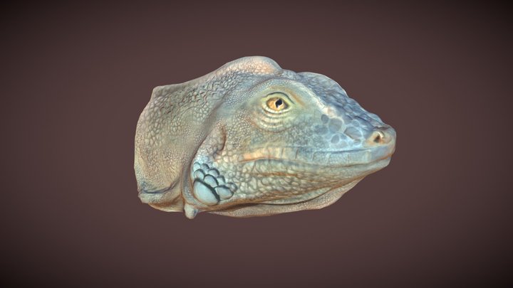 Iguana Head 3D Model