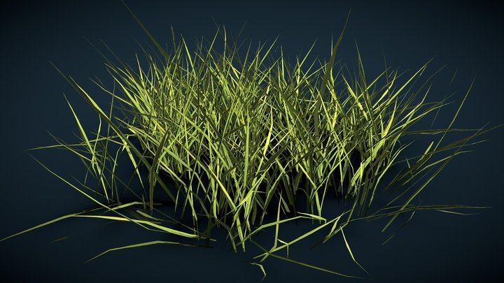 Realistics grass 03 3D Model