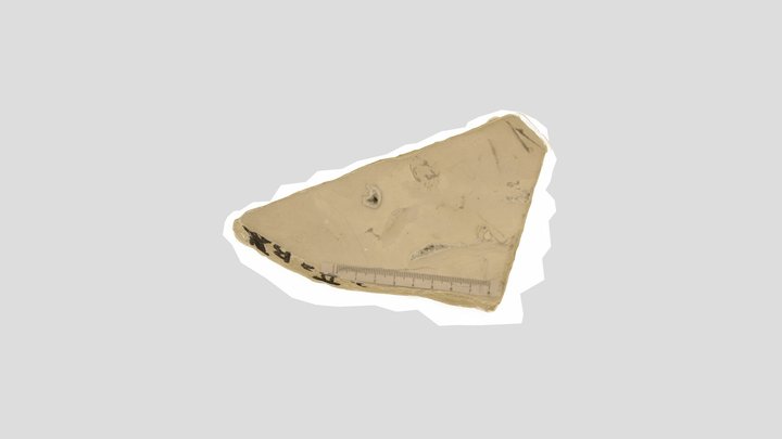 Sample 3D 3D Model