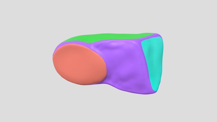 Triquetral 3D Model