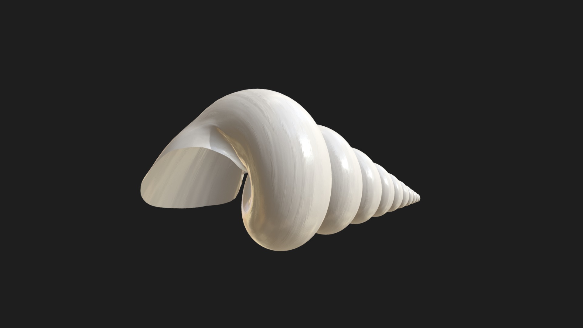 3D model Stylized triton seashell - This is a 3D model of the Stylized triton seashell. The 3D model is about a white lamp shade.