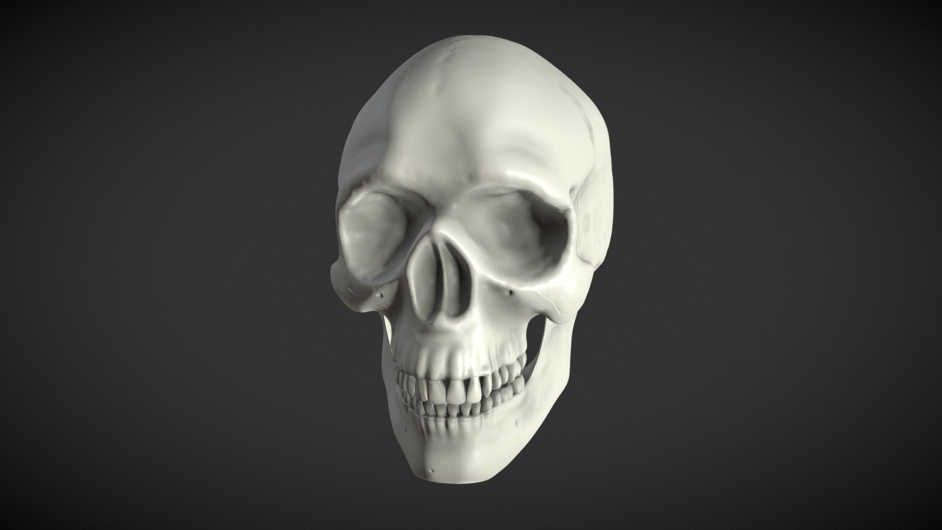 Human Skull - Anatomy Study - High Poly