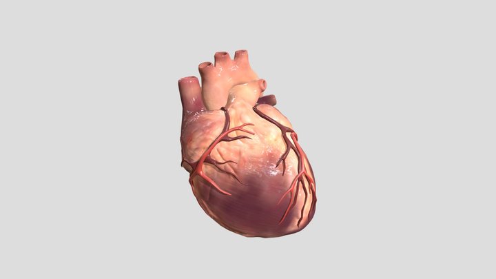 跳动 3D Model