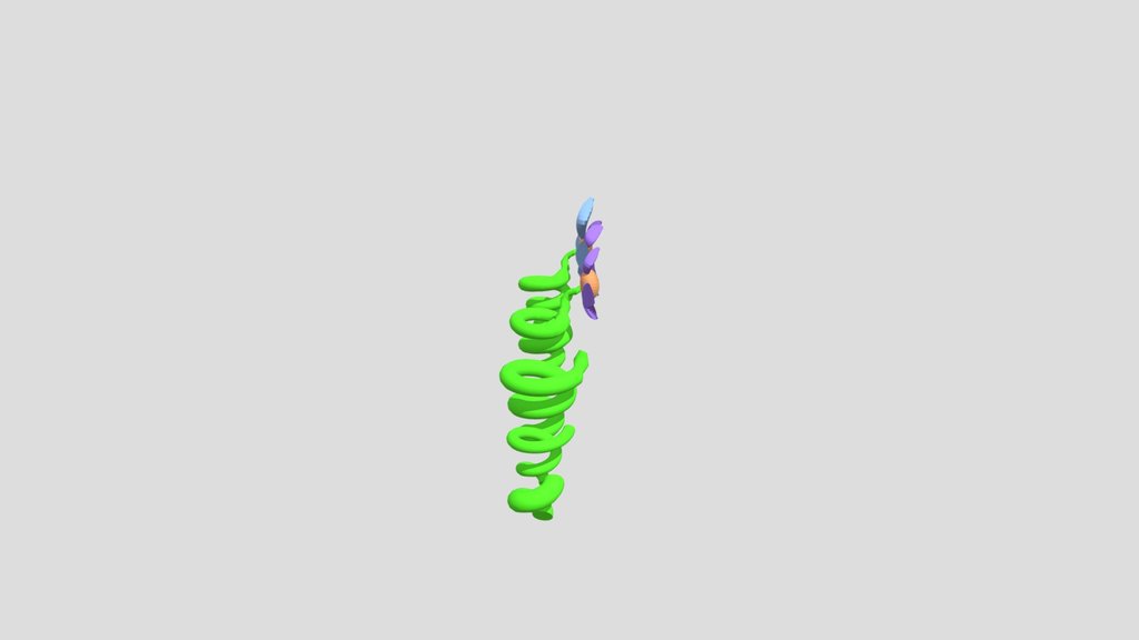 Springy Flower