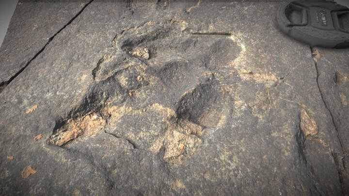 Theropod track fossils from Jinju 3D Model
