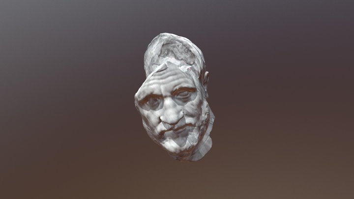 Beard Disp 3D Model