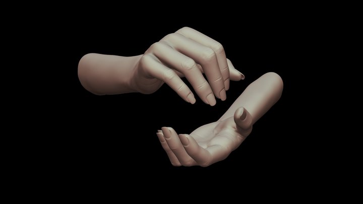Female Hands 16 3D Model