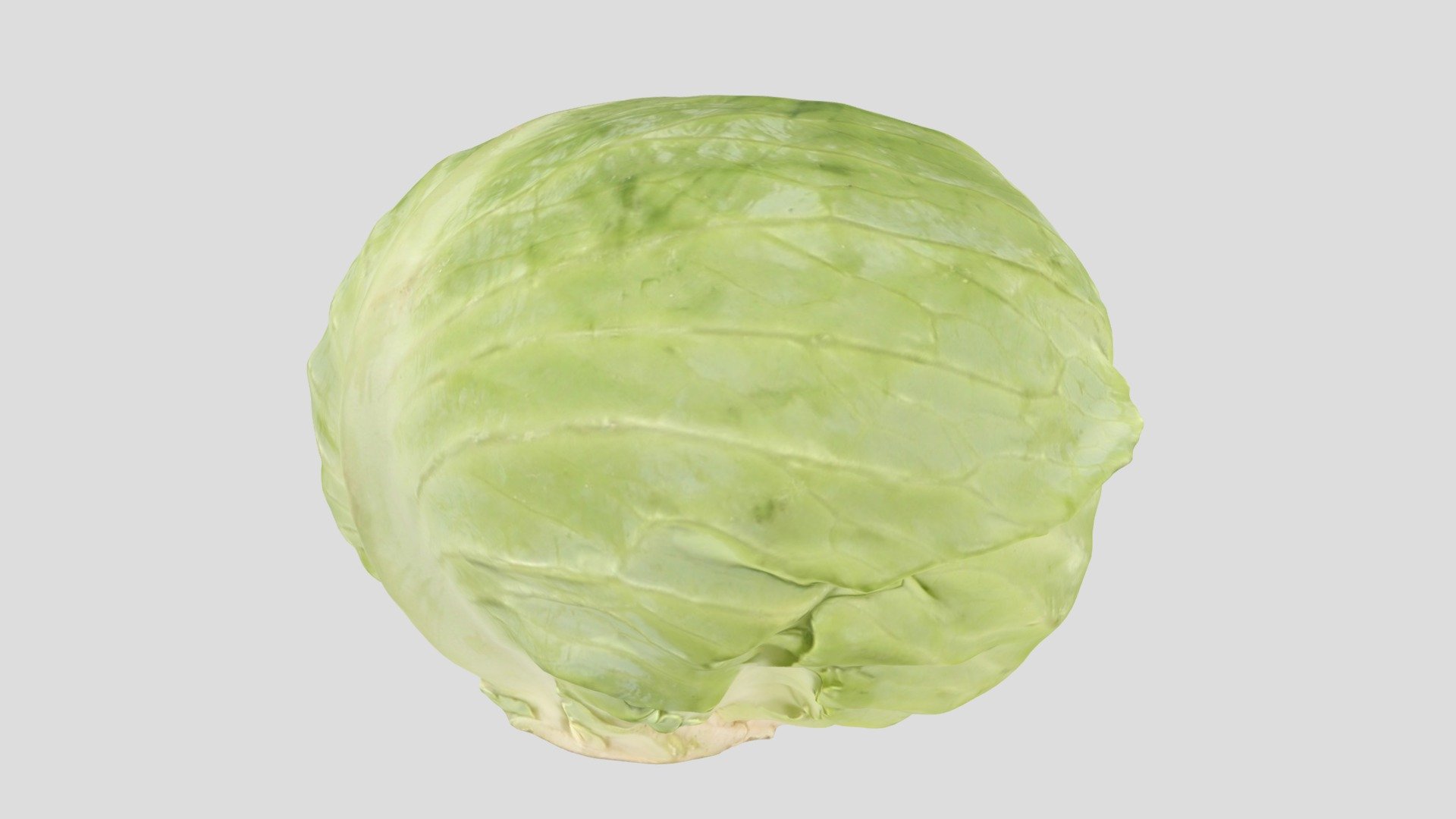 양배추/Cabbage — Sketchfab embed 3D viewer