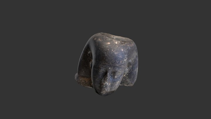 Head 3D Model