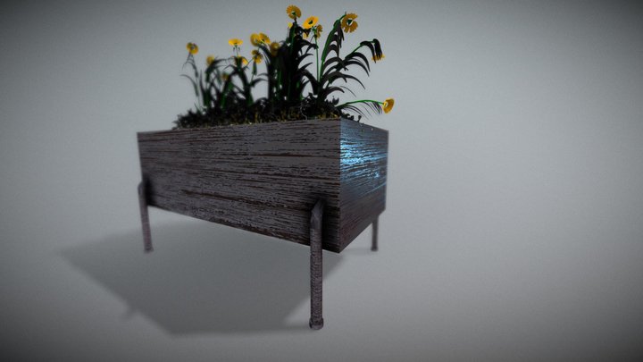 OUTDOOR DECORATION PLANTS FLOWER 3D Model