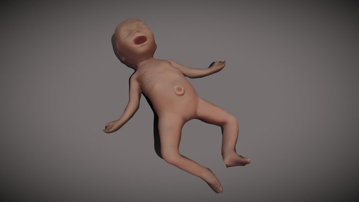 Premature Anne (Laerdal Medical) 3D Model