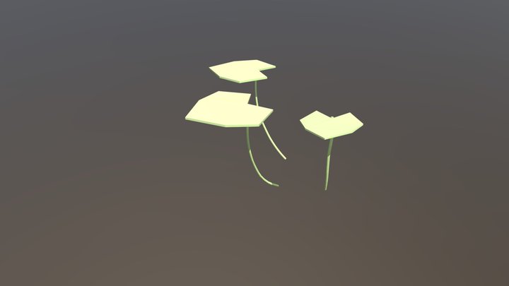 water lily 3D Model