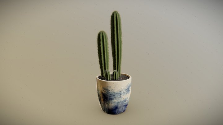 Potted Cactus 3D Model