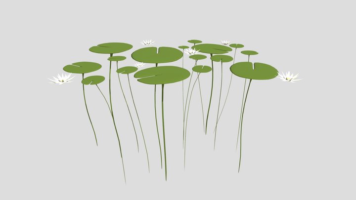 Lillypads 3D Model