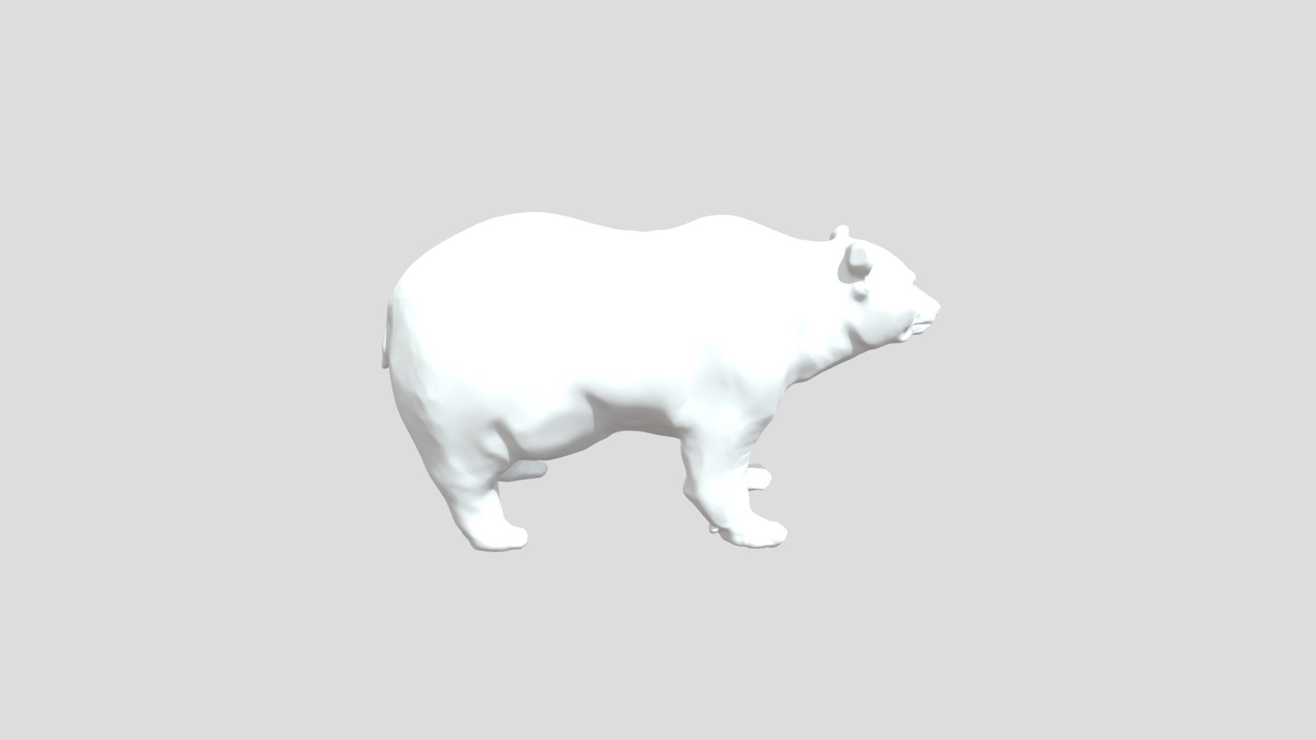 Bear