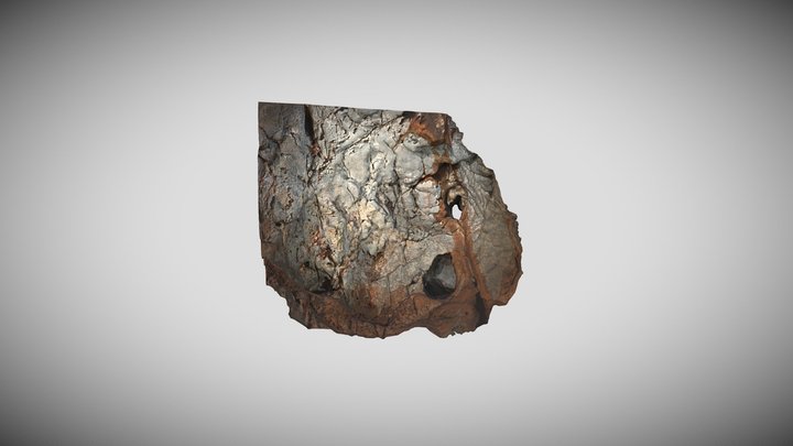 Detalle pintura 2 3D Model