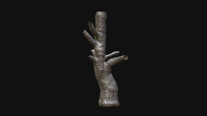 Tree Trunk 01 3D Model