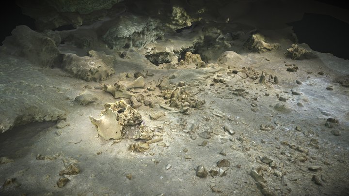 Gompotherium in Flooded Cave - Full cave 3D Model