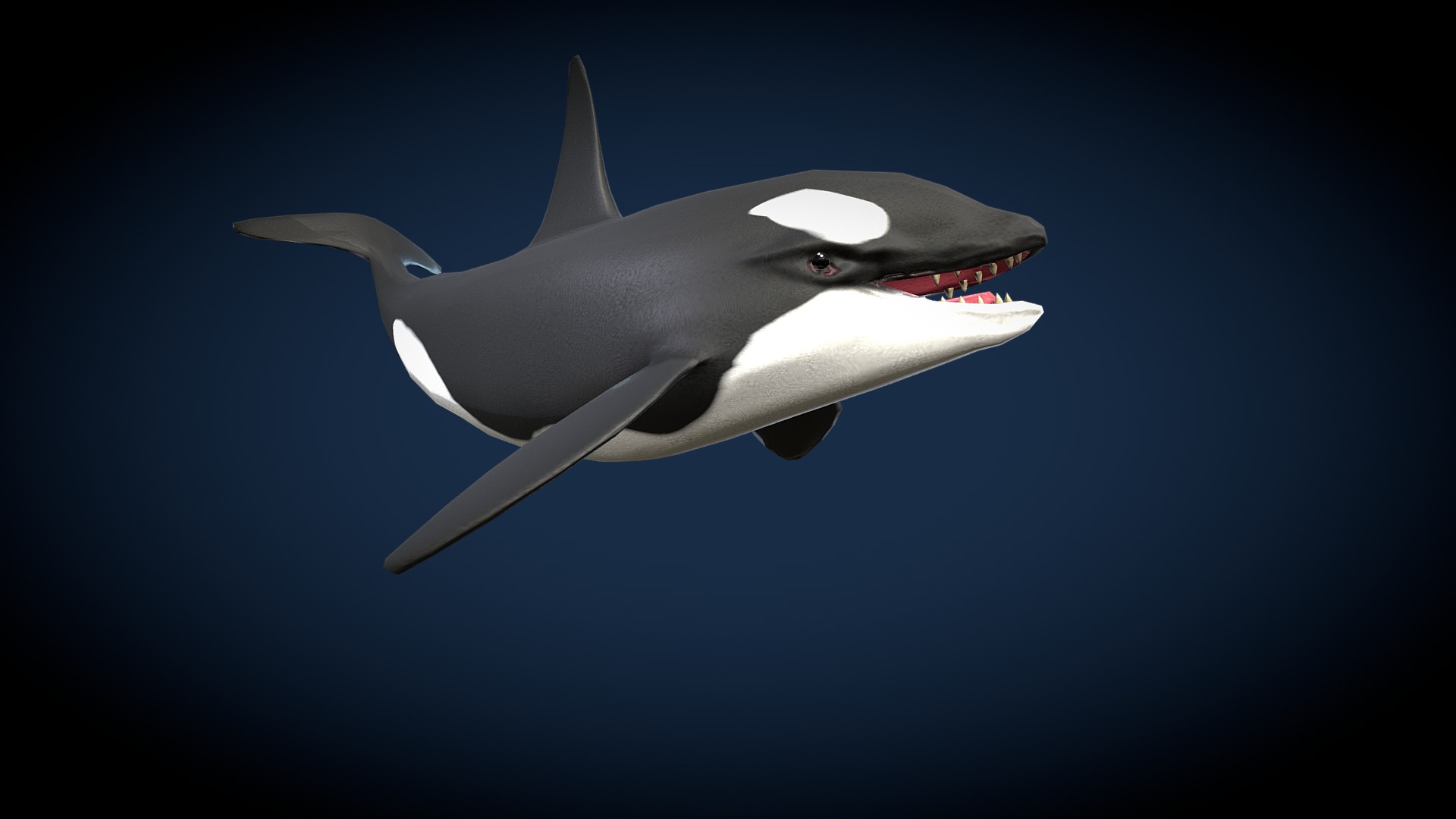 3D model Orca - This is a 3D model of the Orca. The 3D model is about a shark in the water.