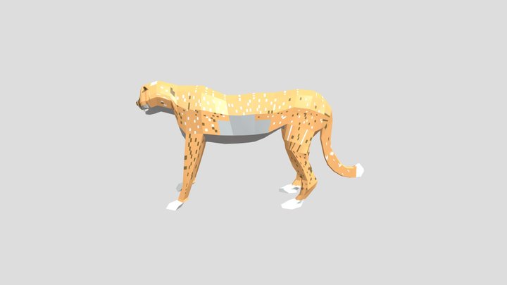 Leopard 3D Model