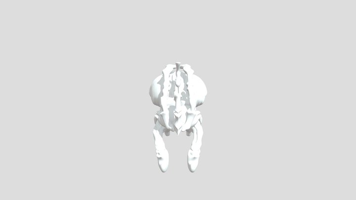 Escarabajo 3D Model