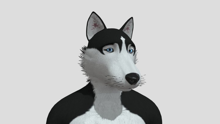 VRChat Husky Base Model [Free] 3D Model