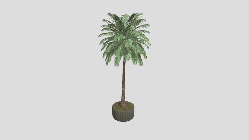 Plant