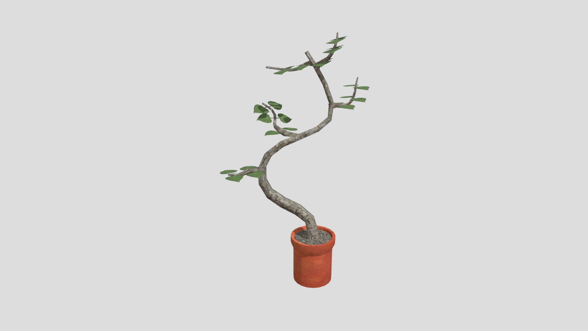 wk8_plant — Sketchfab embed 3D viewer