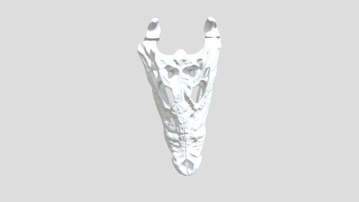 Crocodylus 3D Model