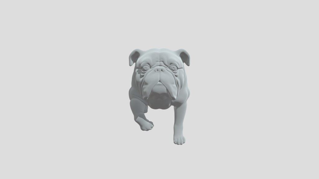 A Bulldog so Cool