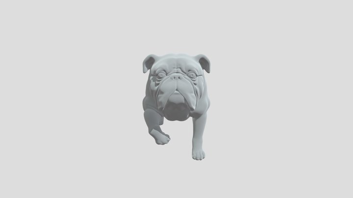 A Bulldog so Cool