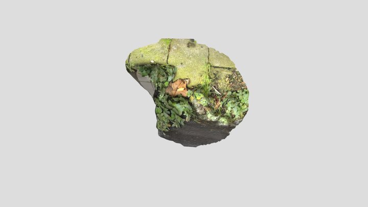 MODEL 3D Model