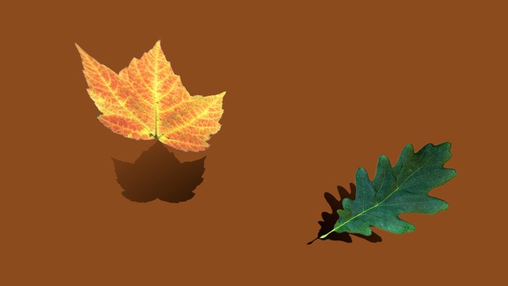 LOW POLY leaves 3D Model