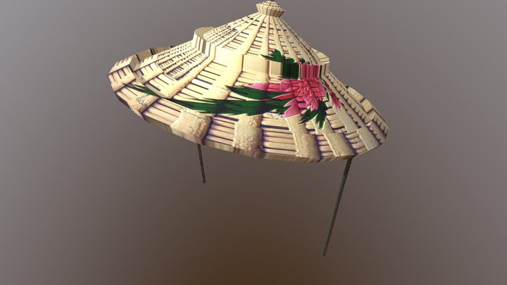Straw Hat Attempt 3D Model