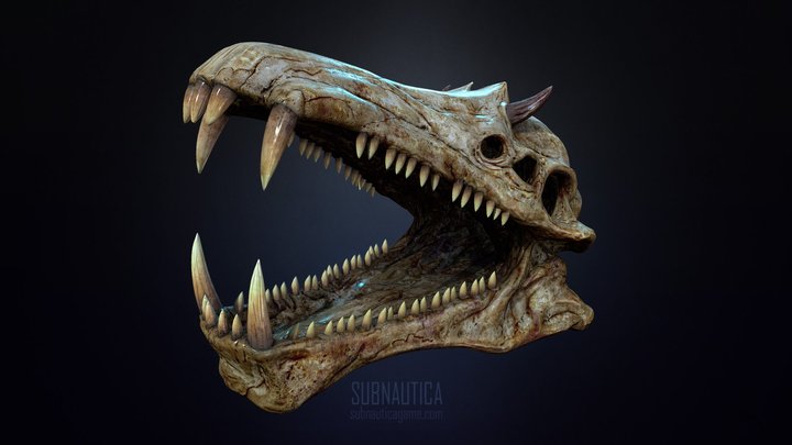 Skull 3D Model