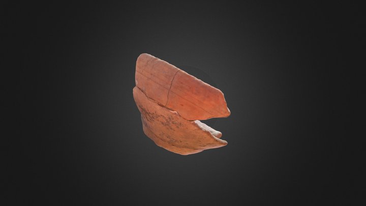 Jatte à lèvre oblique gallo-romaine 3D Model