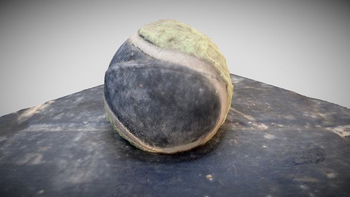 My dog's tennis ball