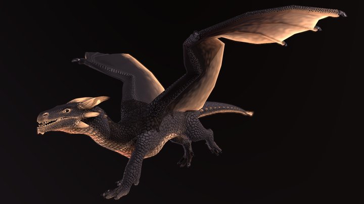 "Redd" Run 3D Model