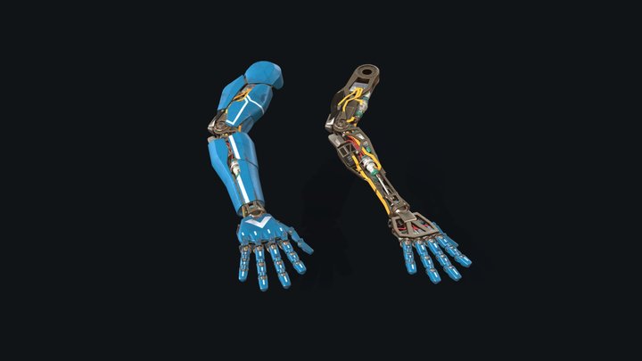 Cybernetic Arm 3D Model