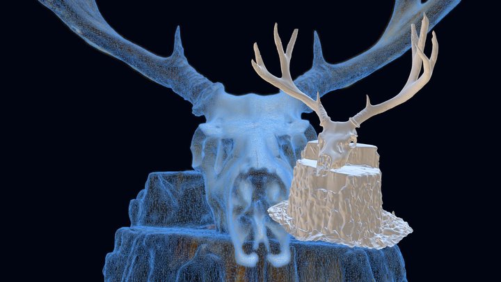 Deer Skull 3D Model