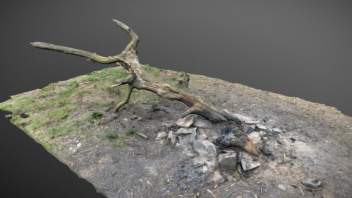 Fireplace burned log tree #EarthDay2020Challenge 3D Model