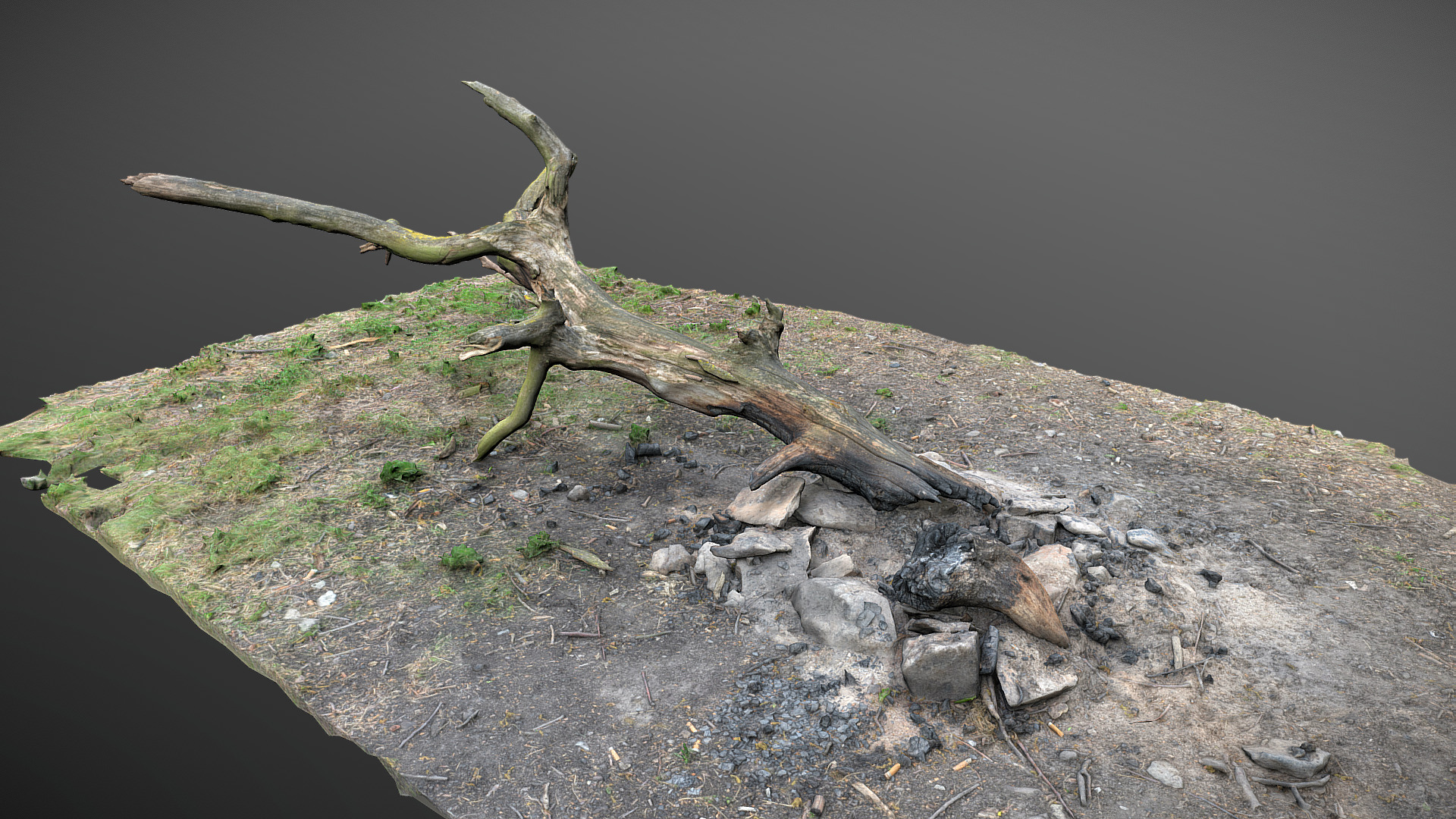 3D model Fireplace burned log tree #EarthDay2020Challenge - This is a 3D model of the Fireplace burned log tree #EarthDay2020Challenge. The 3D model is about a tree branch in a pond.