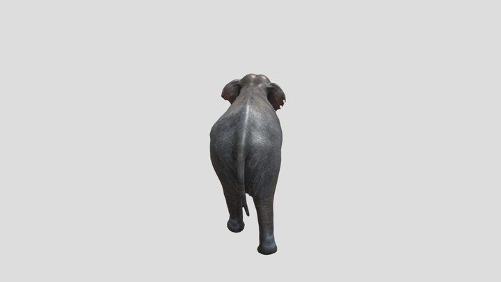 Elephant 3D Model