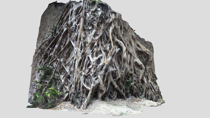 Roots in an angle 3D Model