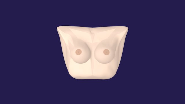 Torso 3D Model
