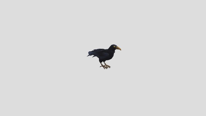 Hello Neighbor Crow 3D Model