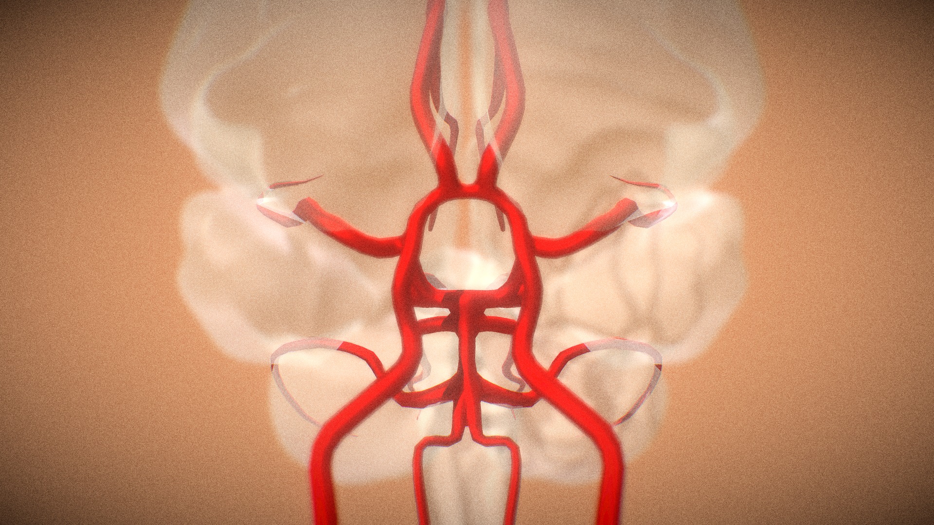 circle-of-willis-arteries-of-brain-animated-buy-royalty-free-3d