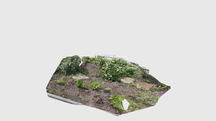 Grass patch 3D Model