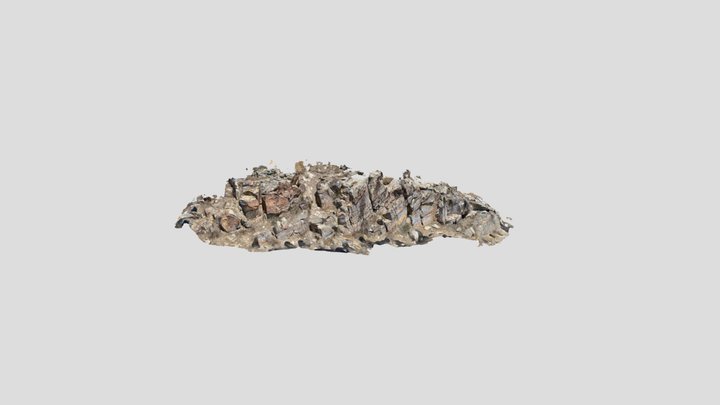 Example Rock Imagery Scan 3D Model