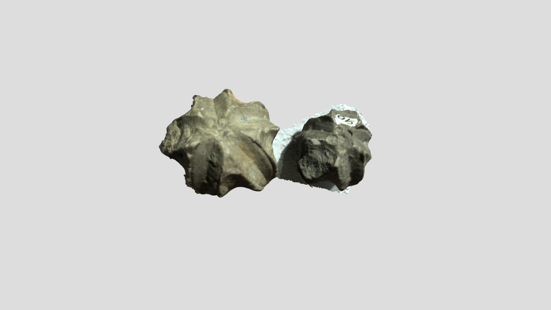 GEOL110 Lab Test Sample 90